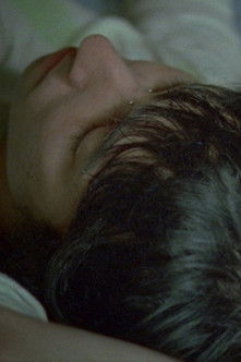 Poster do Filme O lago cinza e cego