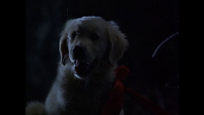 Görsel #252581
