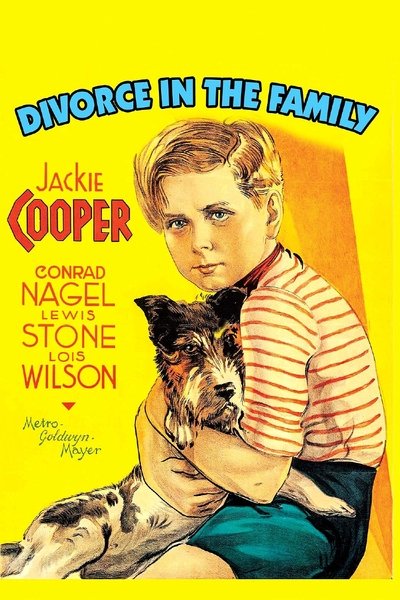Poster for the movie Divorce In The Family
