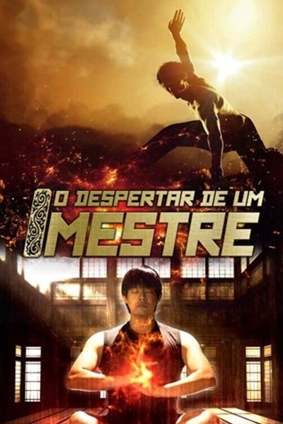 Poster do Filme O Despertar de Um Mestre