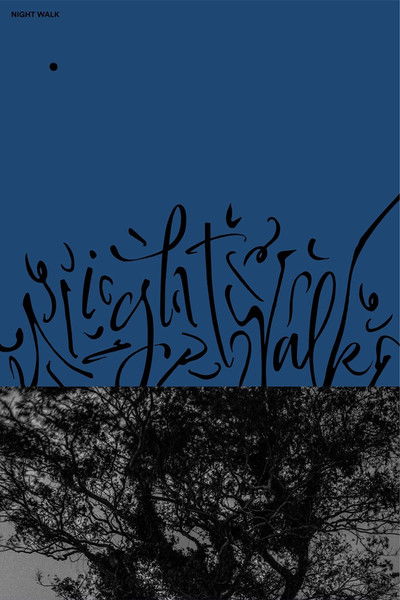 movie poster for Night Walk