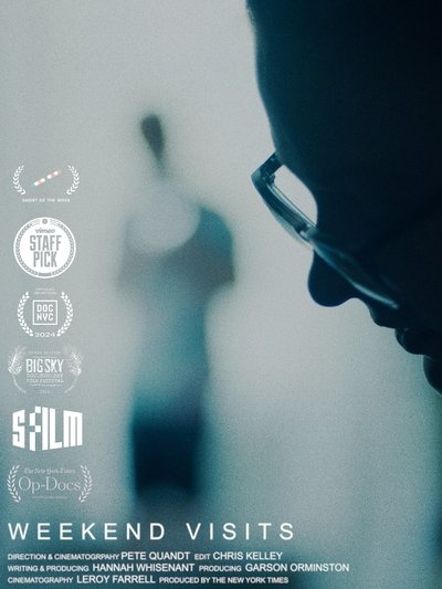 Poster do Filme Weekend Visits