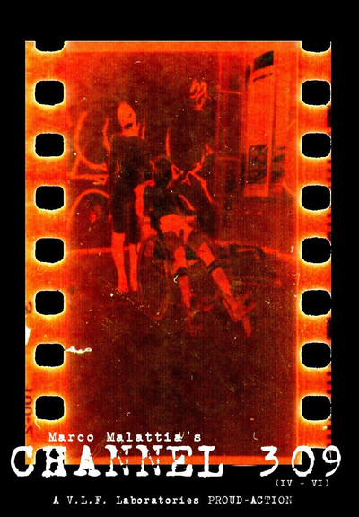 Poster do Filme Channel 309 (4-6)