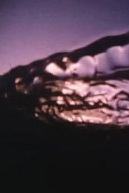 Poster do Filme Echoes