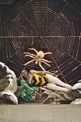 Poster do Filme La Ruche merveilleuse