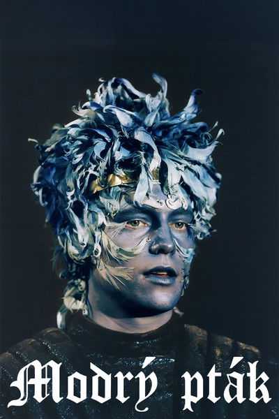 movie poster for Modrý pták