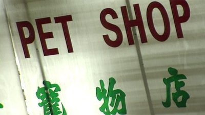 tv poster