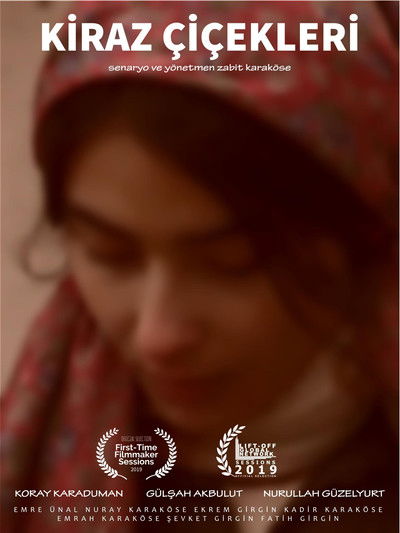 Poster do Filme Kiraz Çiçekleri