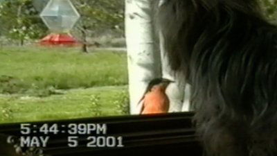 tv poster