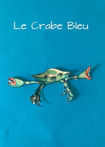 Poster do Filme Le Crabe bleu