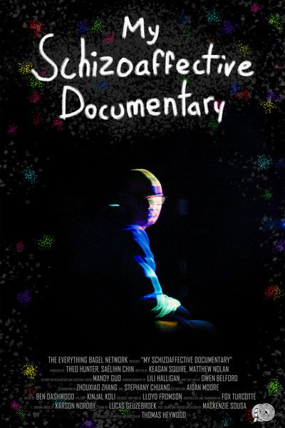 Poster do Filme My Schizoaffective Documentary