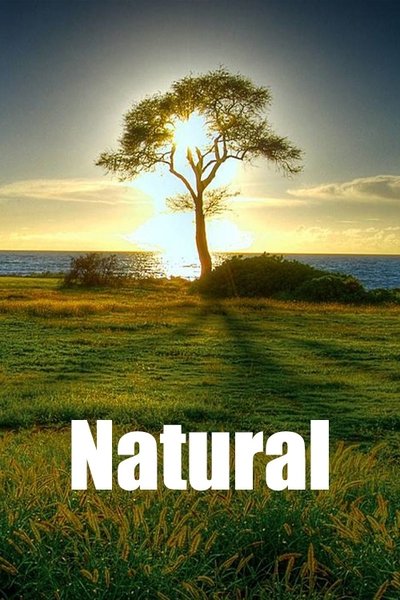 poster for Natural