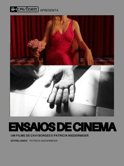 movie poster for Ensaios de Cinema