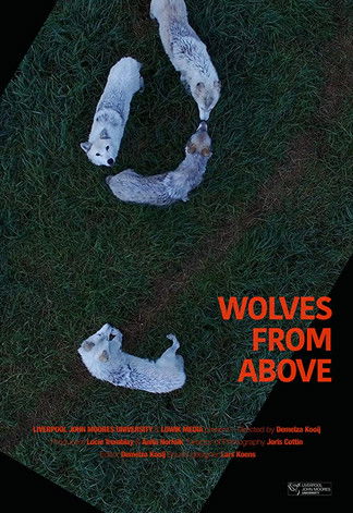 Poster do Filme Wolves From Above