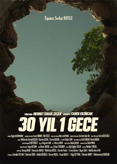 Poster do Filme 30 YIL 1 GECE