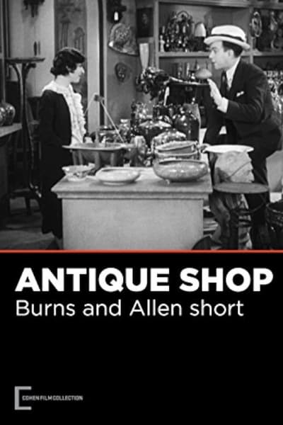 The Antique Shop