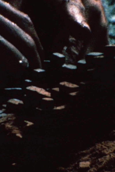 Poster do Filme Niagara Gorge