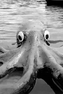 Poster do Filme Murder Octopus from the Deep!