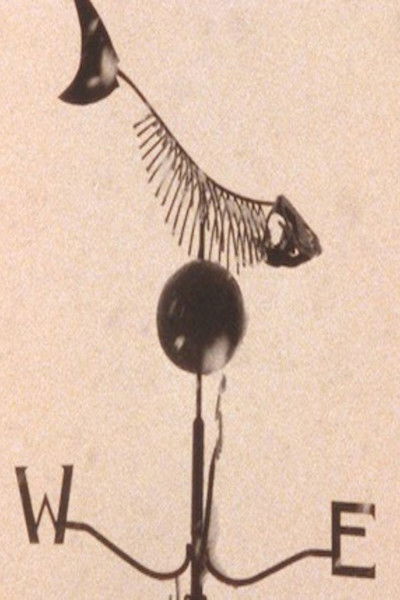 Poster do Filme Trout Fly Deep Trout Too