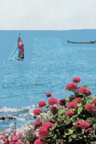 Poster do Filme At The Shore