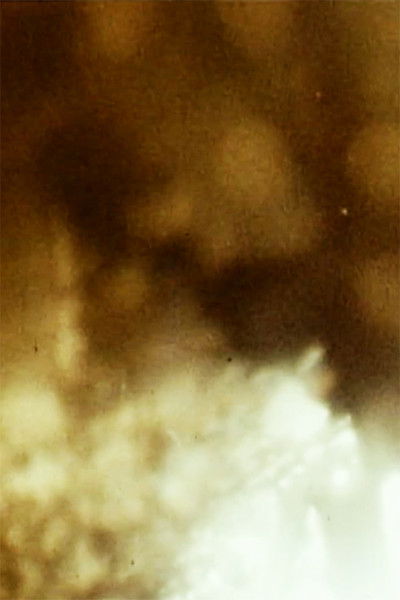 Poster do Filme Closet Film