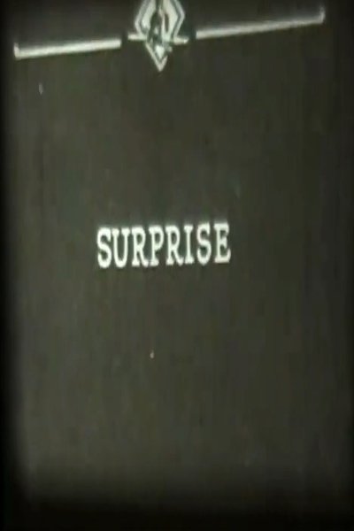 Poster do Filme Surprise