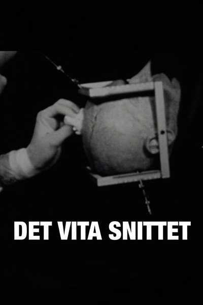 Det vita snittet