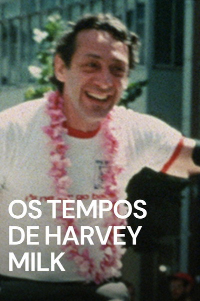 Poster do Filme Os Tempos de Harvey Milk