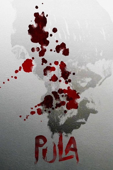 Poster do Filme Pula