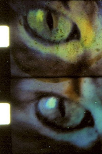 movie poster for Wild Eye