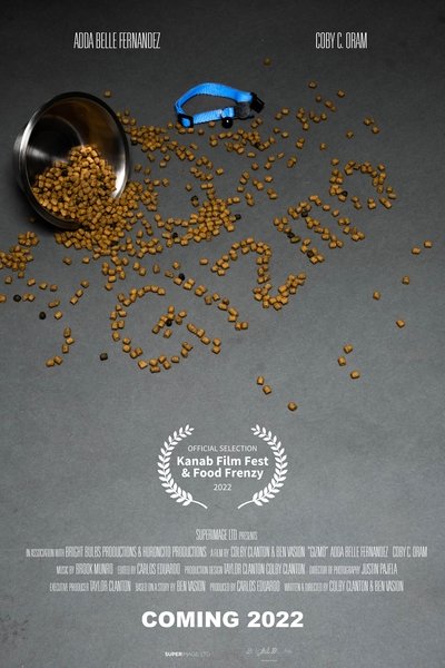 Poster do Filme Gizmo