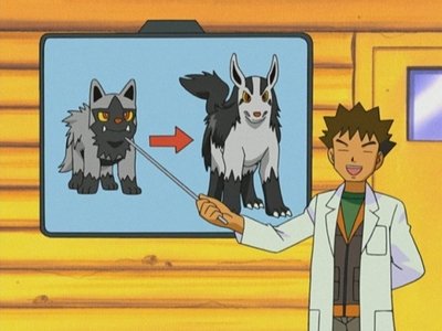 Image de l'épisode L'évolution à tout prix