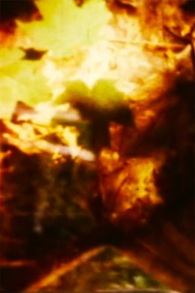 Poster do Filme Groundwork