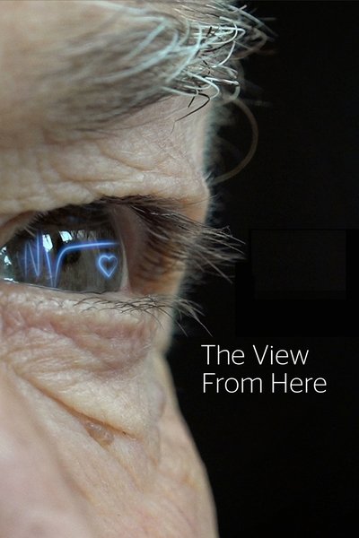 poster for The View from Here