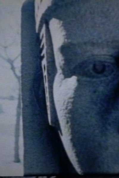 Poster do Filme An Architecture of Desire
