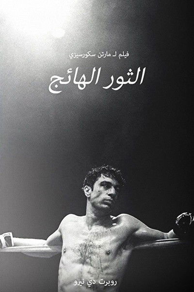الثور الهائج