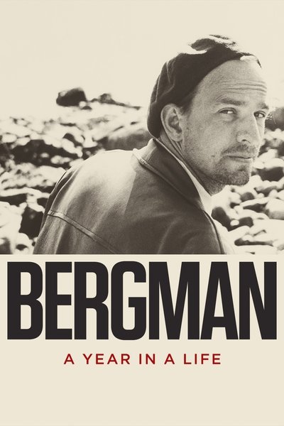 Poster for the movie Bergman: A Year in a Life