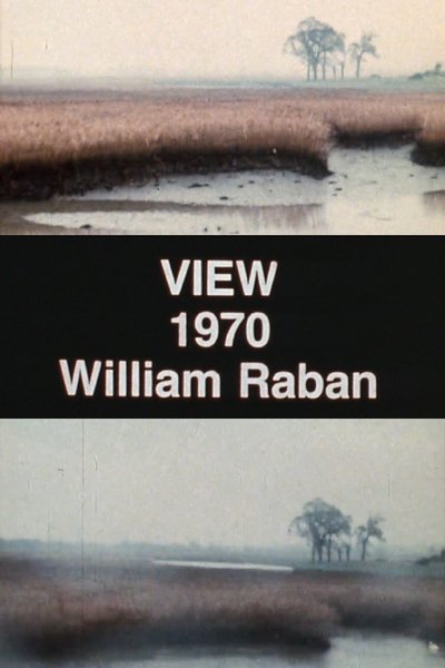 Poster do Filme View
