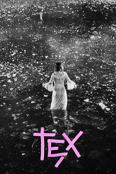 Poster do Filme Tex