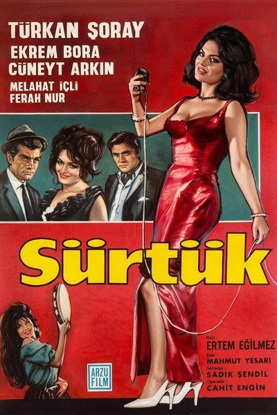 Poster do Filme Sürtük