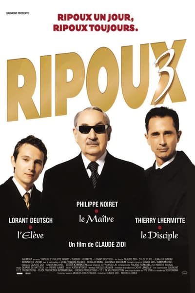 Poster for the movie My New Partner III
