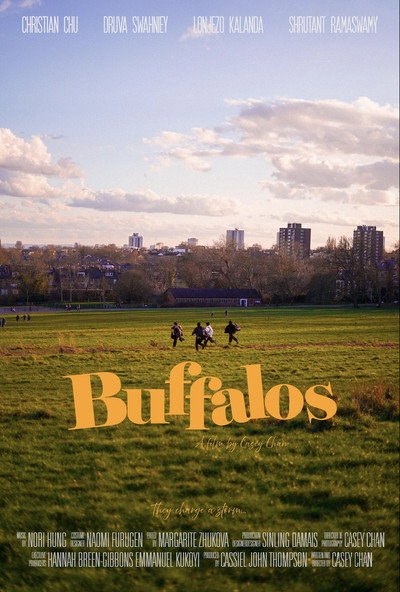 Buffalos