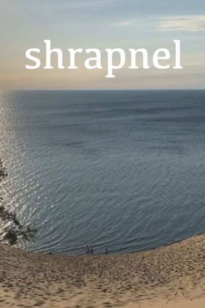 Poster do Filme shrapnel