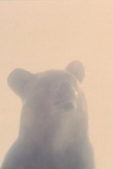 Poster do Filme Hotel Tubu