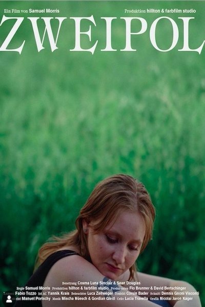 Poster do Filme Zweipol