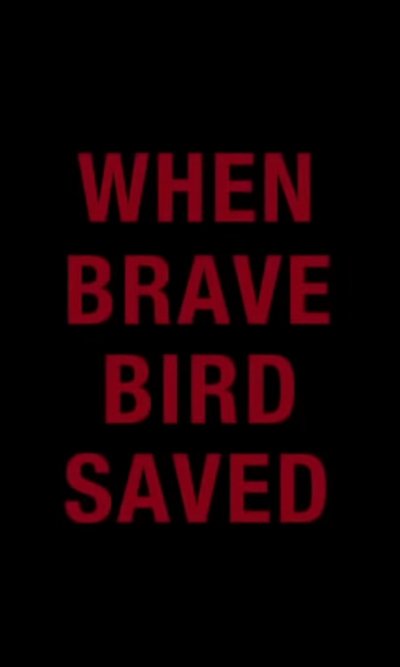 Watch - When Brave Bird Saved Full Movie Online