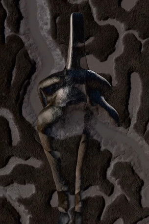 Poster do Filme Xirasa