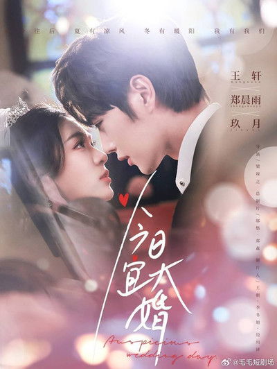 poster for 今日宜大婚