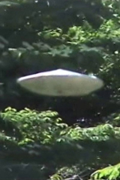 Buchou to UFO-gokko