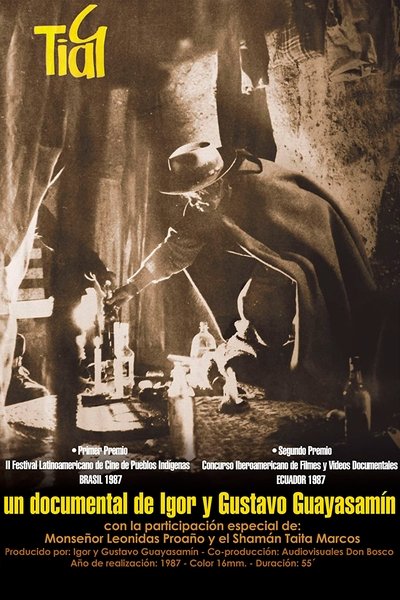 Poster do Filme Tiag